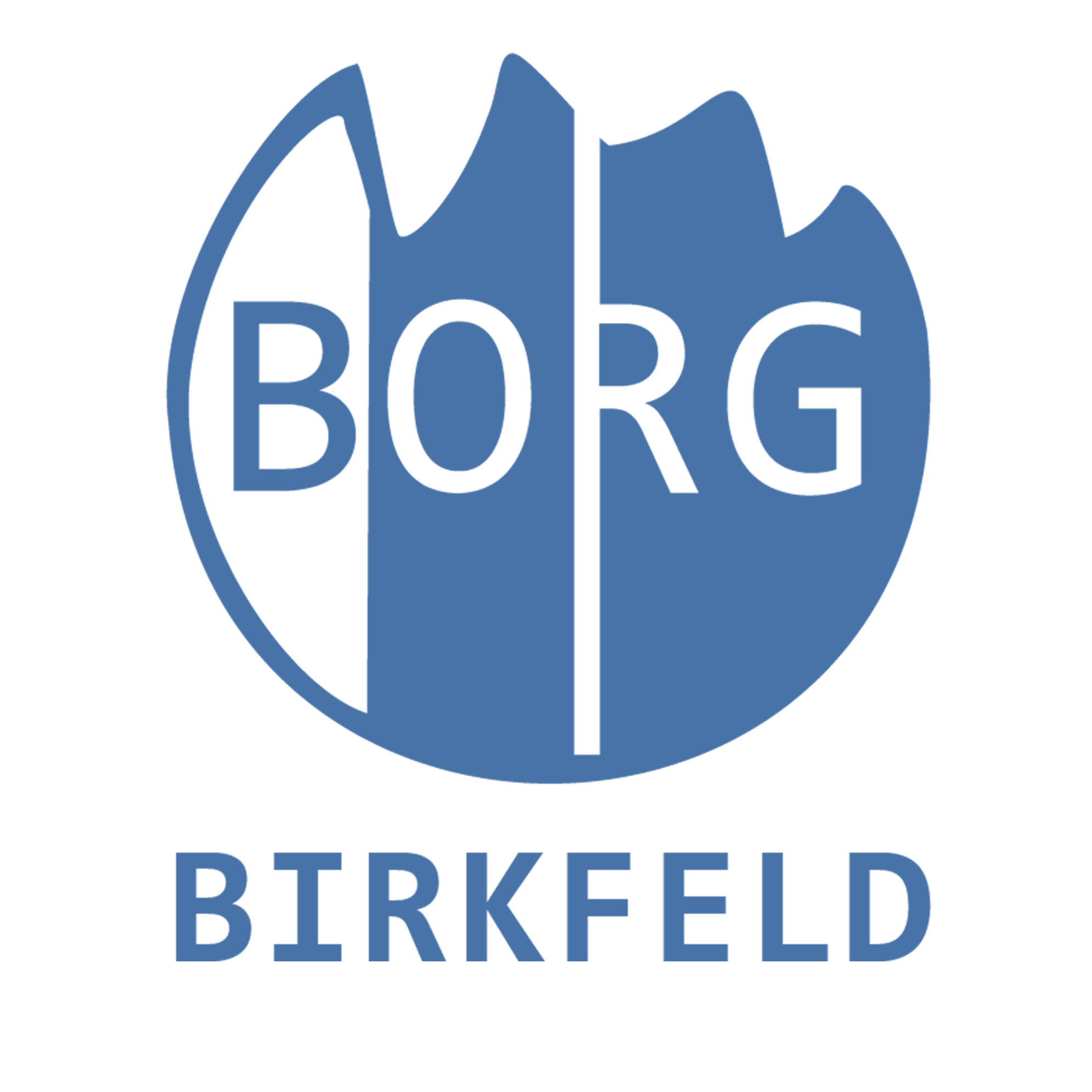 Borg Birkfeld